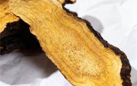 黄精十大牌子汇总，黄精牌子哪个好？山川树工艺靠谱滋补更温和