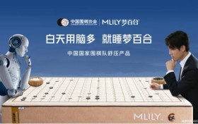 第六届“MLILY梦百合0压床垫杯”世界围棋公开赛启动