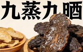 黄精什么牌子好？免疫调节数据公开：实验有效的黄精品牌分享